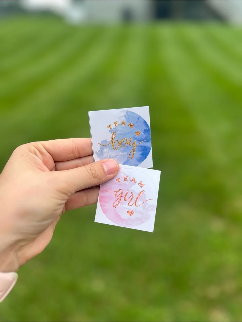 Gender Reveal Stickers & Cupcake Sticks Team Boy & Team Girl